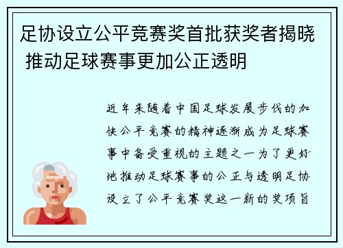 足协设立公平竞赛奖首批获奖者揭晓 推动足球赛事更加公正透明