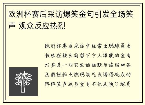 欧洲杯赛后采访爆笑金句引发全场笑声 观众反应热烈